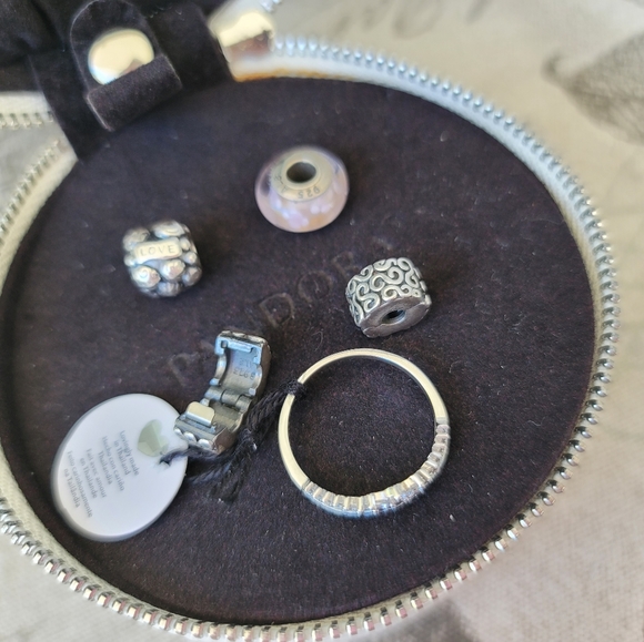 Pandora Bundle - Retired Charms, Wishbone Ring (9) & Limited Edition Case! - Picture 10 of 16